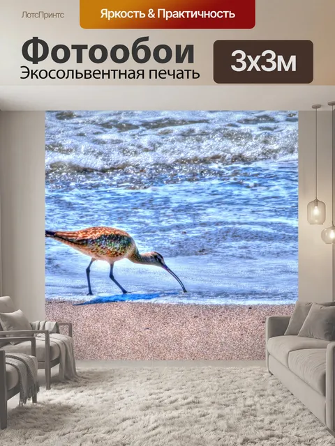 Фотообои Песочница