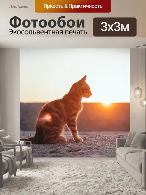 Фотообои Кошка
