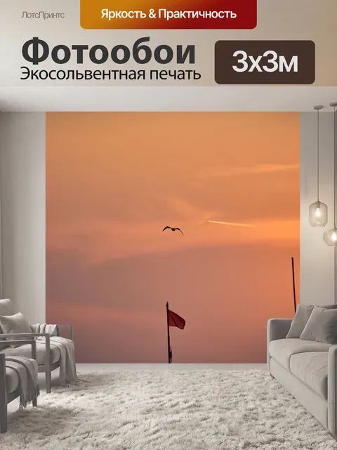 Фотообои Чайка