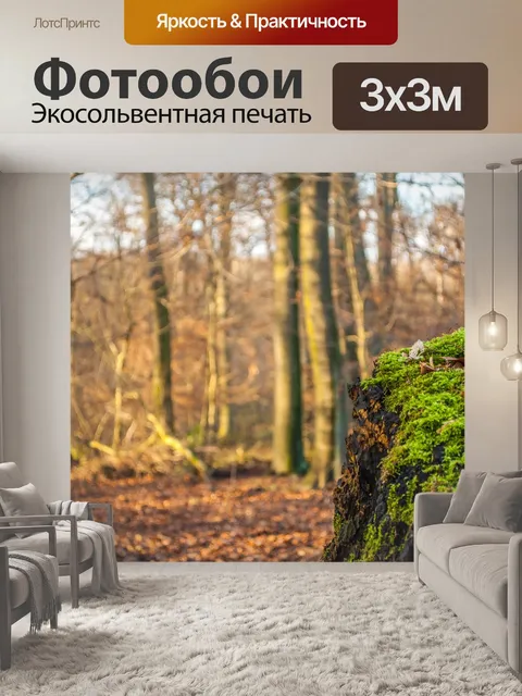 Фотообои Пень