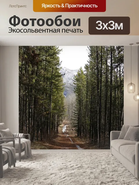 Фотообои Лесная дорога