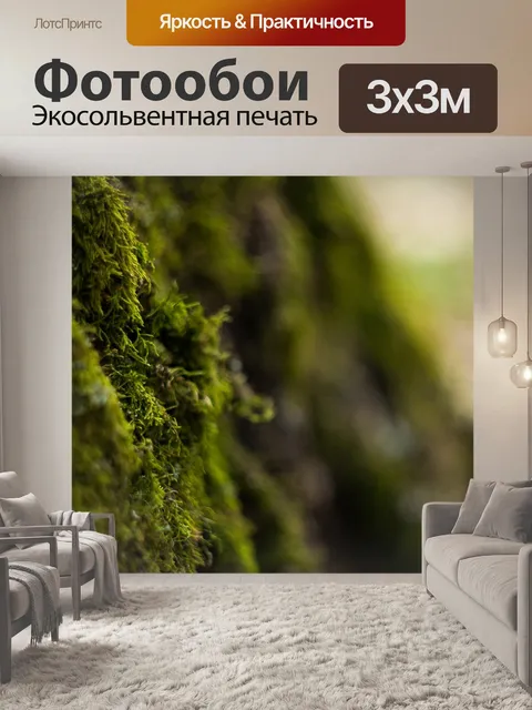Фотообои Лес