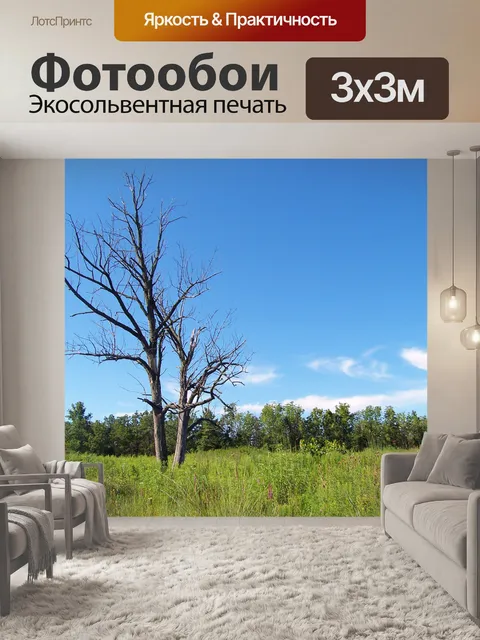 Фотообои Мертвые деревья в поле