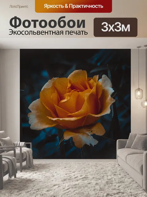 Фотообои Роза