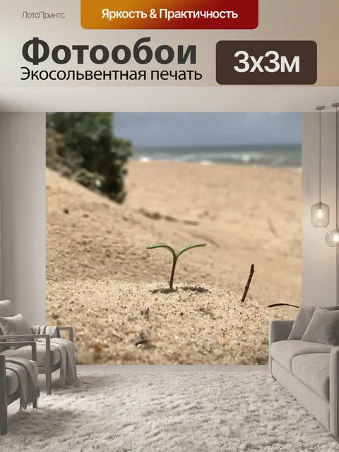 Фотообои Пляж