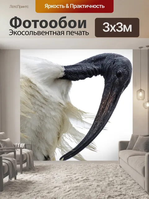Фотообои Птица - Ibis