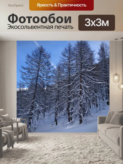 Фотообои Лес