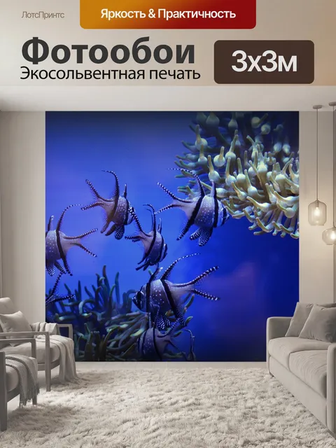 Фотообои Рыбы