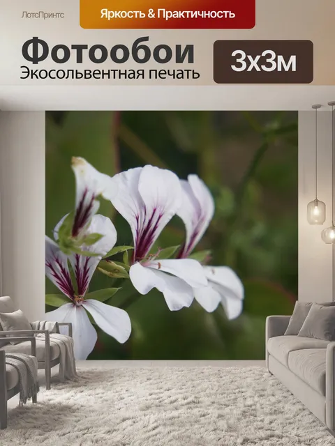 Фотообои Цветы