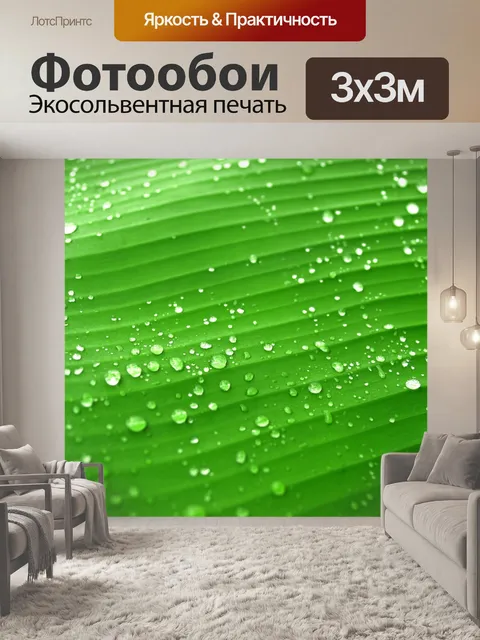 Фотообои Капля воды на листе