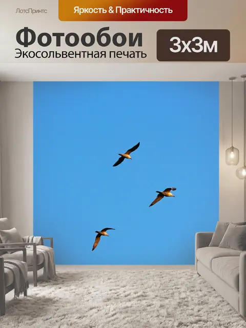 Фотообои Летающий