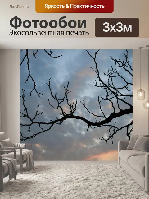 Фотообои голые ветви против захода солнца