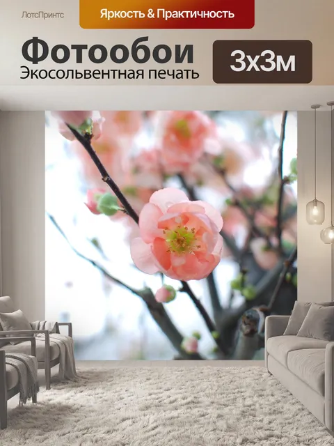 Фотообои Сакура