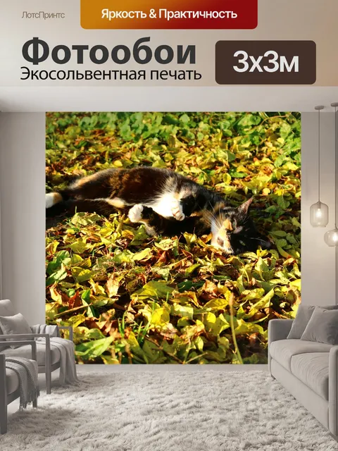 Фотообои Падение