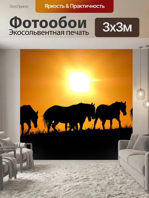 Фотообои Заход солнца