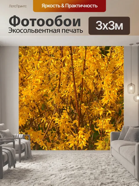 Фотообои Расцветает