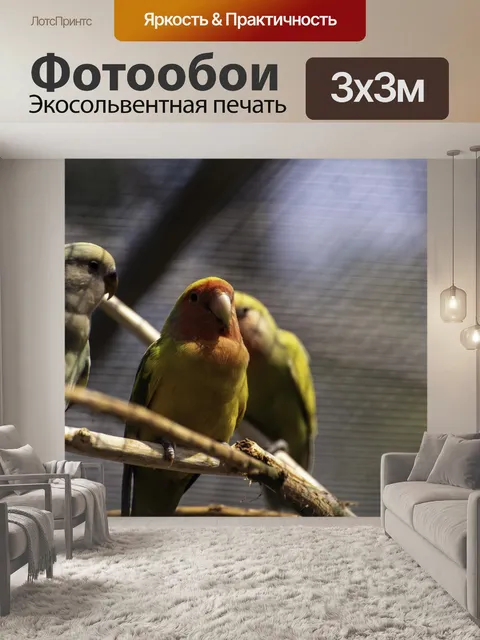 Фотообои Птица