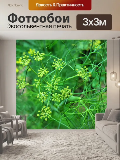 Фотообои фенхель завод