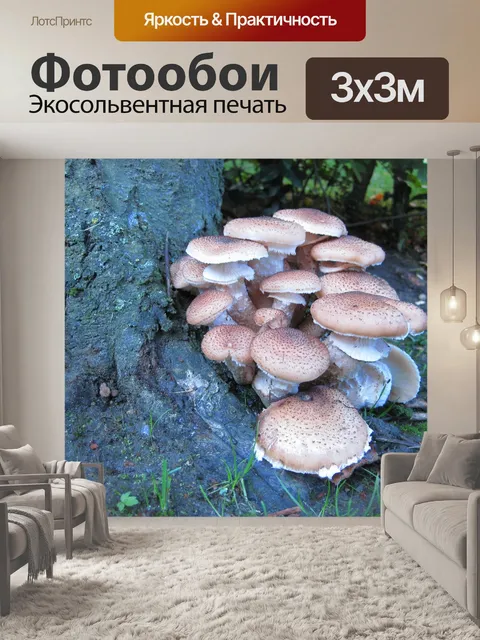 Фотообои Дерево