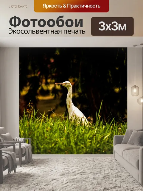 Фотообои Птица