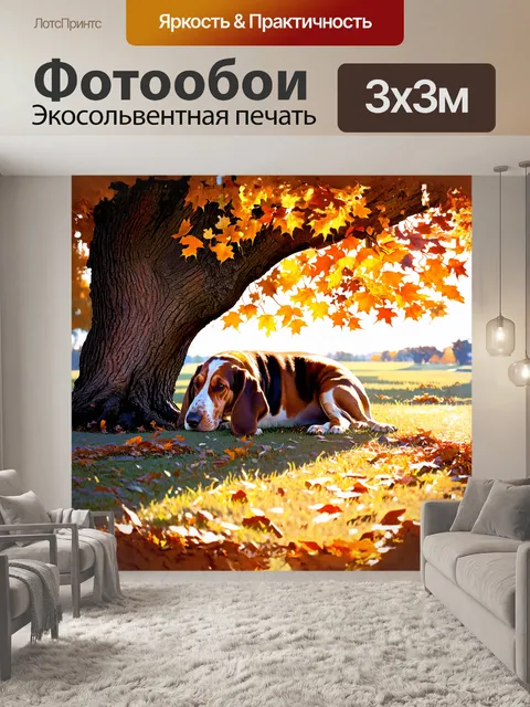 Фотообои бассет, мирно спящий под старым дубом, окружен осенними листьями, которые создают золотую арену вокруг него