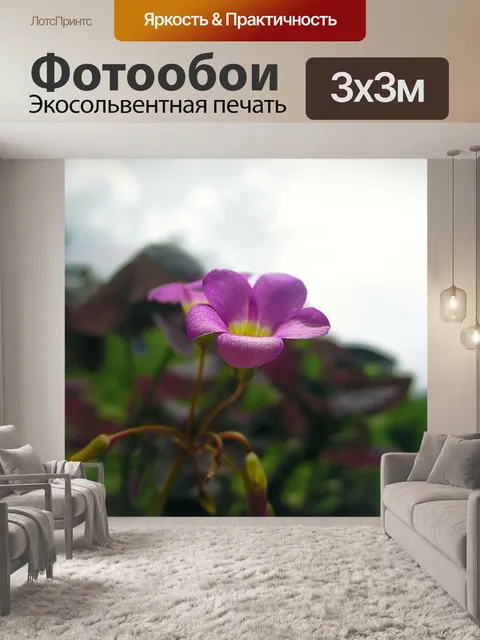 Фотообои Цветы