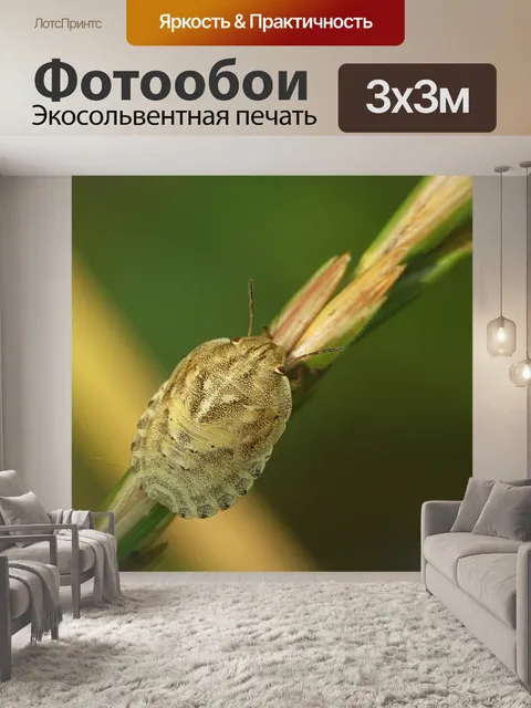 Фотообои Насекомое