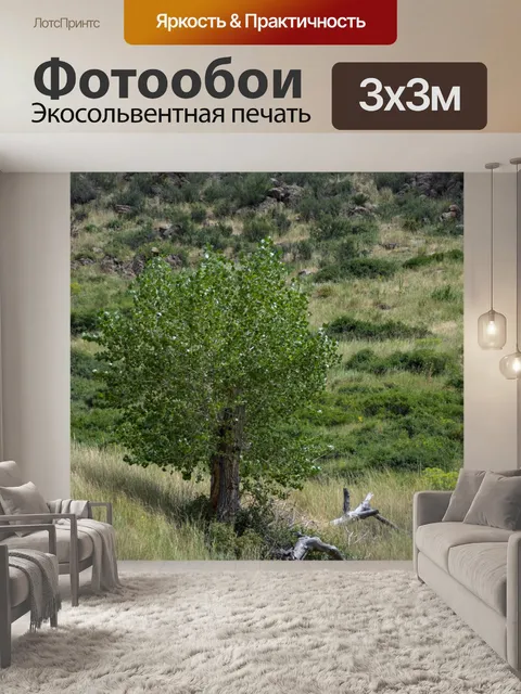 Фотообои Одинокое дерево