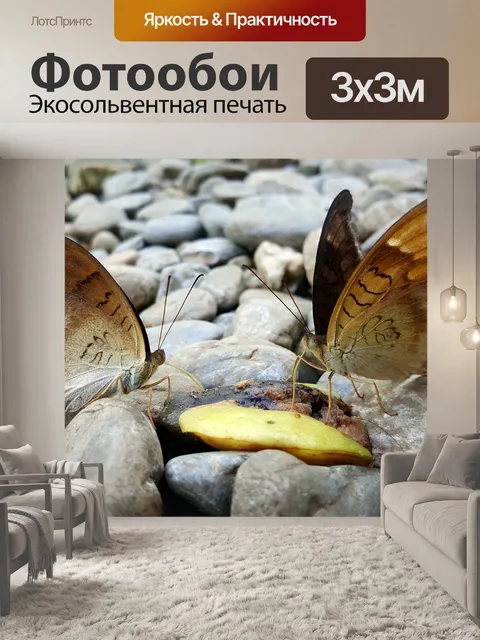 Фотообои Бабочка