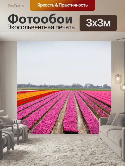 Фотообои Луковицы