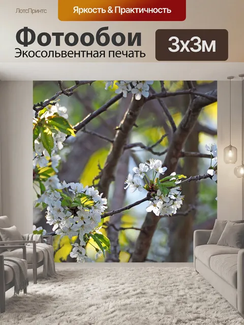 Фотообои Цветение вишни