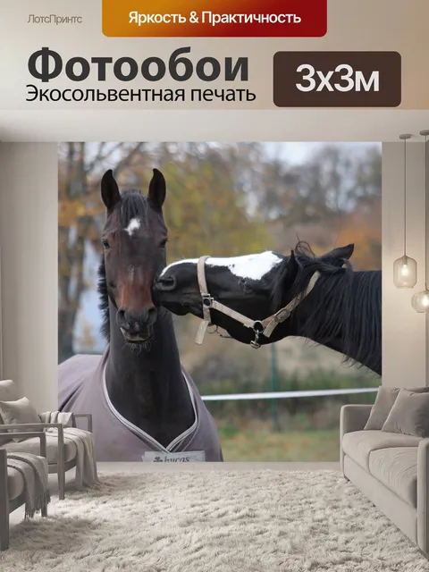 Фотообои Лошади