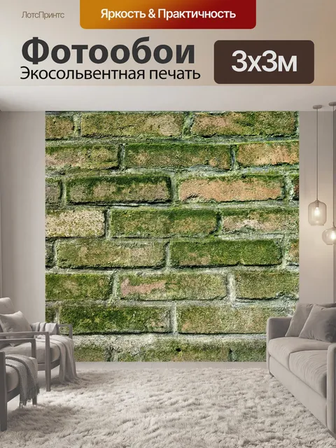 Фотообои Стена