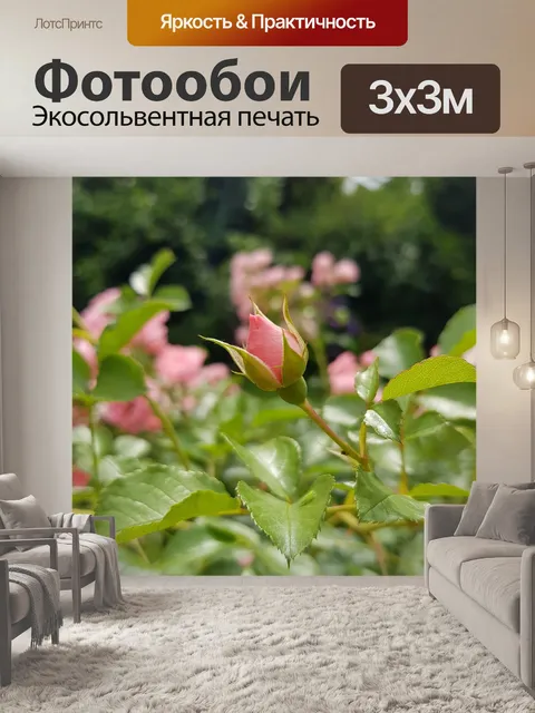 Фотообои Розы