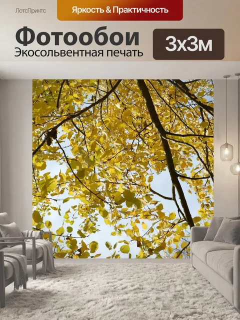 Фотообои Осень