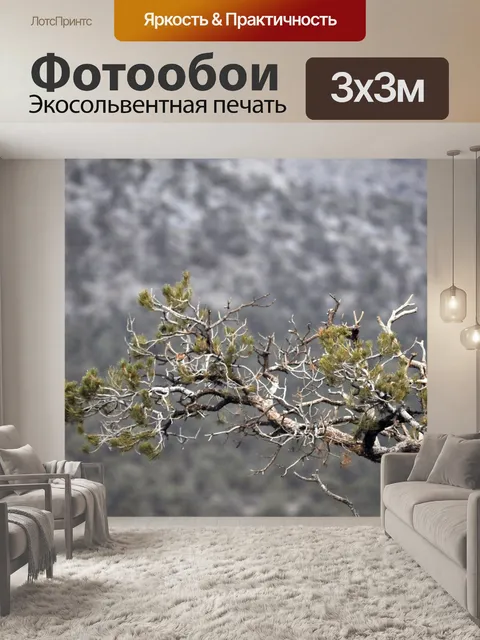 Фотообои Горный Буш