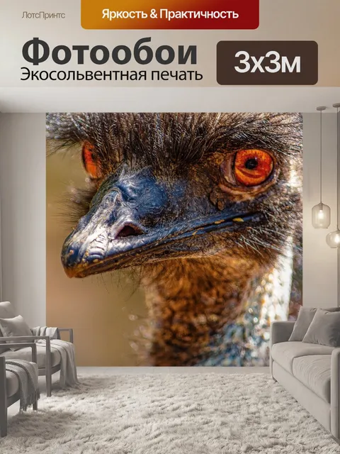 Фотообои Птица