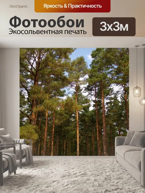 Фотообои Деревья в Нью-Форест