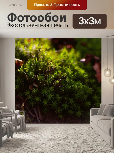 Фотообои Лес