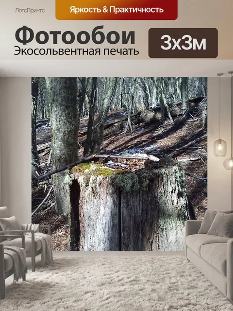 Фотообои Деревья