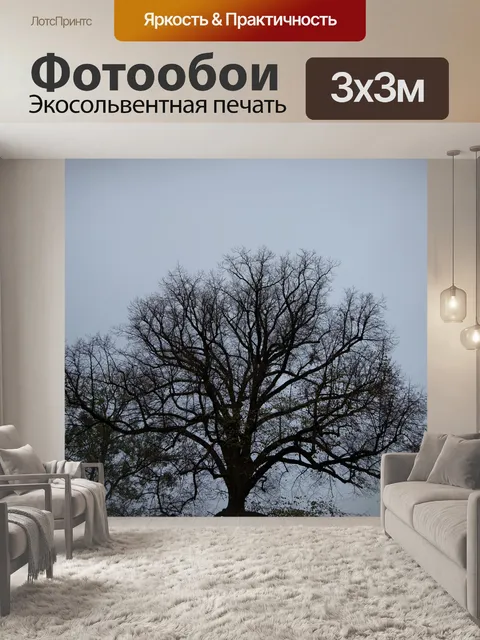Фотообои Дерево