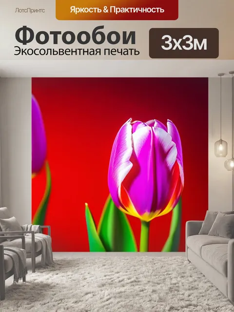 Фотообои минималистичные тюльпаны