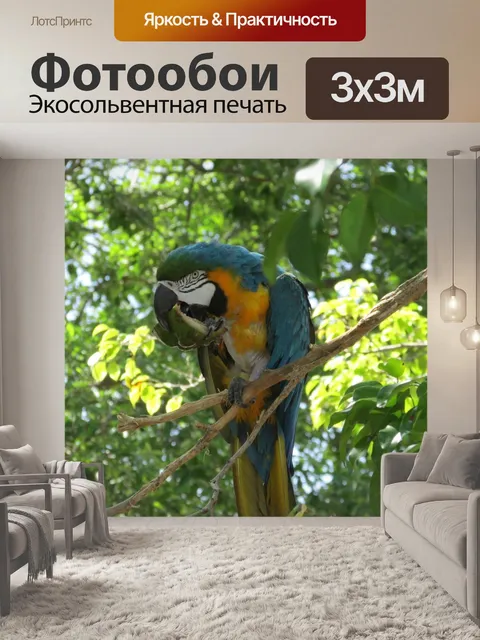 Фотообои Природа