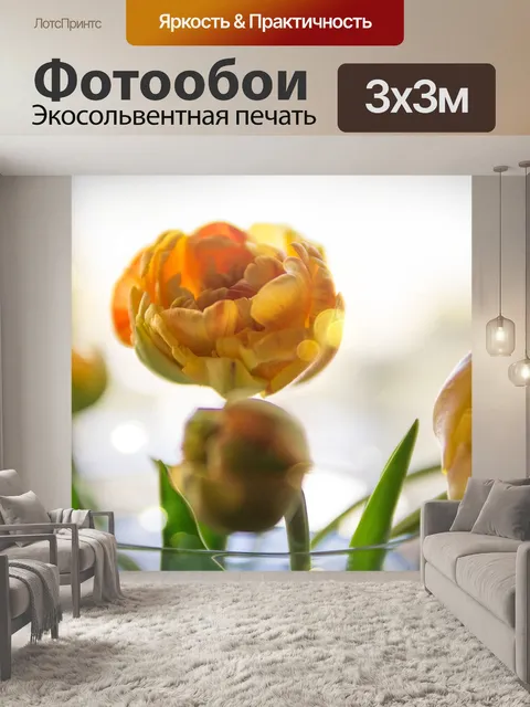 Фотообои Тюльпаны