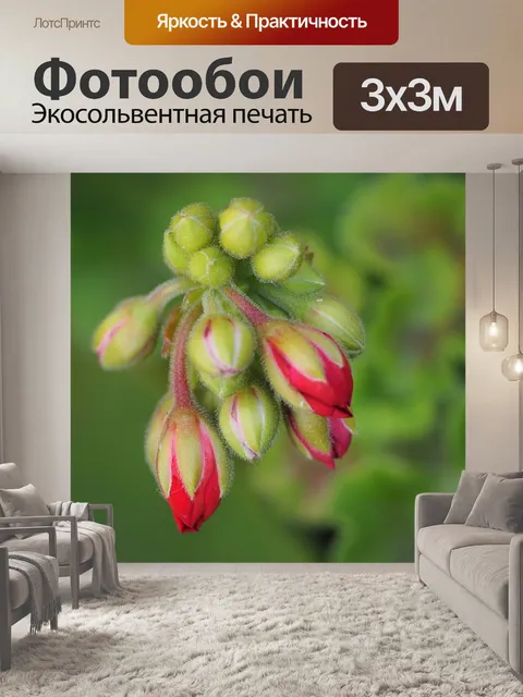 Фотообои Фуксия