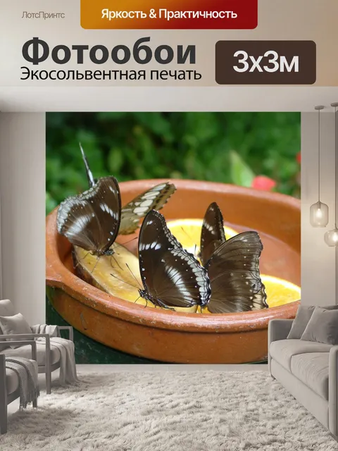 Фотообои Бабочки