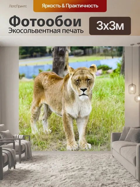 Фотообои Лев