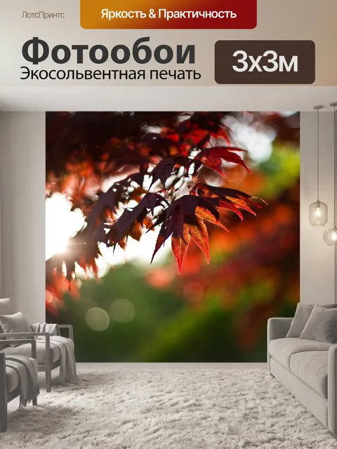 Фотообои Клен