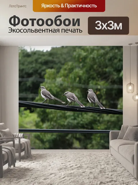 Фотообои Птицы