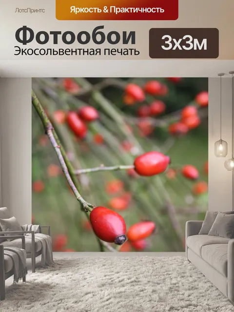 Фотообои Шиповник